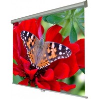 Экран настенный Walfix SNM-4