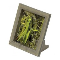 Сборная модель Умная бумага Рамка Кузнечик (245)