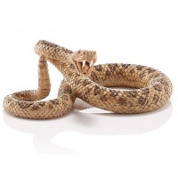 Фигурка Schleich Гремучая змея (14740)