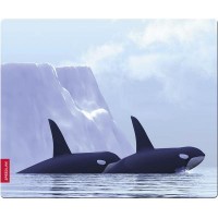 Коврик Speedlink SILK Mousepad, Orca (SL-6242-ORCA)