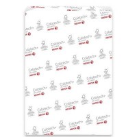 Бумага XEROX SRA3 COLOTECH + SILK (350) 200л (003R90373)