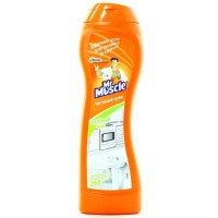 Чистящее средство Мистер Мускул Зеленый Чай 255 мл (4823002005776)