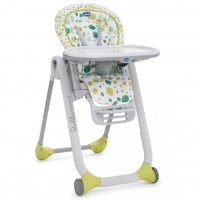 Стульчик для кормления Chicco Polly Progres5 Kiwi (79335.36)