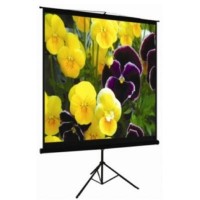 Проекционный экран LOGAN PRT3