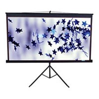 Проекционный экран T85NWS1 ELITE SCREENS