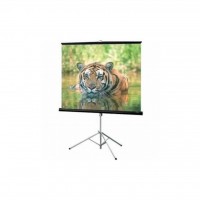 Проекционный экран T99UWS1 ELITE SCREENS